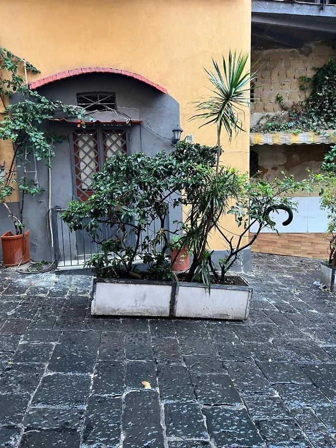 Petite Suite Naples Appartement