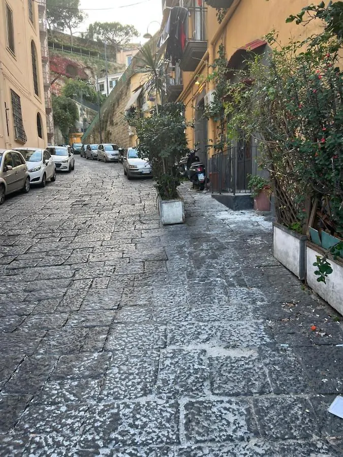 Petite Suite Naples